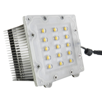 30W LED Project Lamp Optical Engine DC Input Driverless LED Module For Street Light Retrofitting